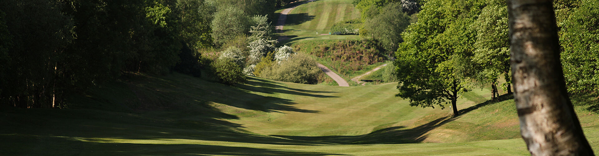 Home Whitefield Golf Club Home